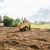 Spring Hill Land Clearing by Freedom Land Services LLC